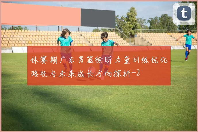 休赛期广东男篮徐昕力量训练优化路径与未来成长方向探析