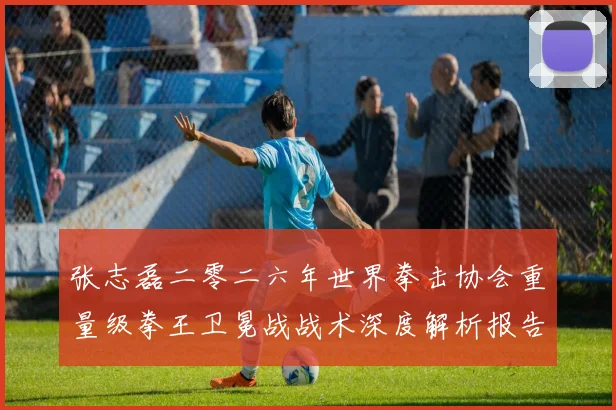 张志磊二零二六年世界拳击协会重量级拳王卫冕战战术深度解析报告
